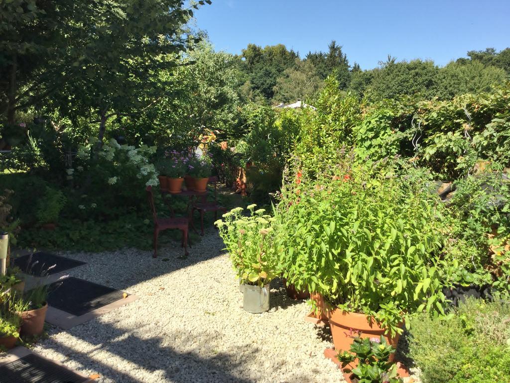 Ferienwohnung Hering In Dill Esterno foto