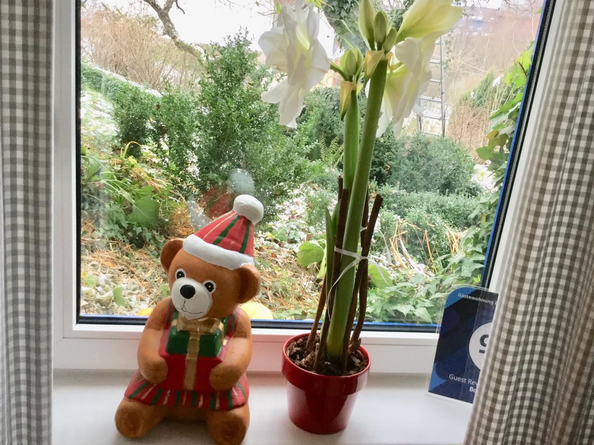 Ferienwohnung Hering In Dill Esterno foto